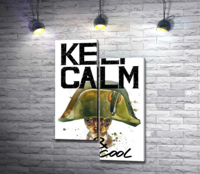 Чихуахуа в шапке Наполеона среди надписи "keep calm and be cool"