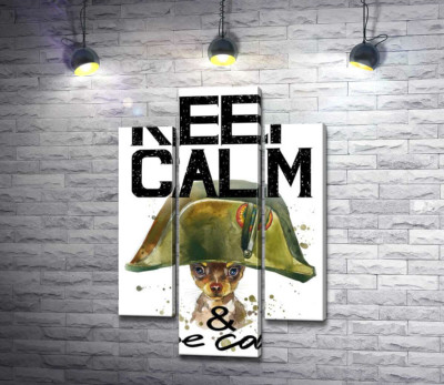 Чихуахуа в шапке Наполеона среди надписи "keep calm and be cool"