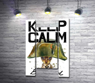 Модульна картина "Чихуахуа в шапці Наполеона серед напису "keep calm and be cool""