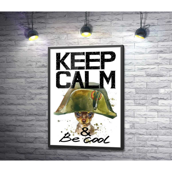 Чихуахуа в шапці Наполеона серед напису "keep calm and be cool"