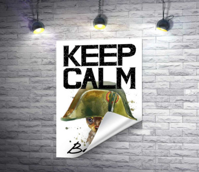 Чихуахуа в шапці Наполеона серед напису "keep calm and be cool"