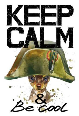 Чихуахуа в шапке Наполеона среди надписи "keep calm and be cool"