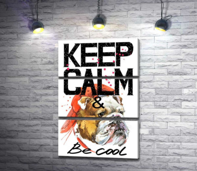 Модульна картина "Бульдог в червоній кепці серед напису "keep calm and be cool""
