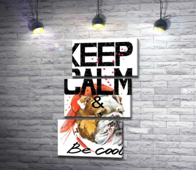 Бульдог в червоній кепці серед напису "keep calm and be cool"