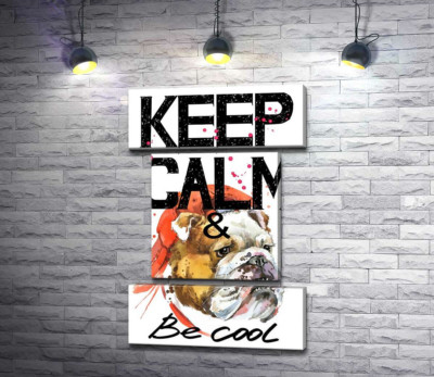 Бульдог в красной кепке среди надписи "keep calm and be cool"