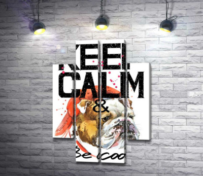 Бульдог в красной кепке среди надписи "keep calm and be cool"