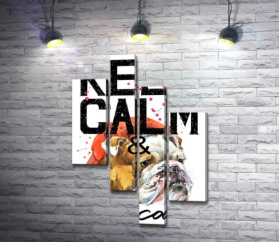 Бульдог в червоній кепці серед напису "keep calm and be cool"