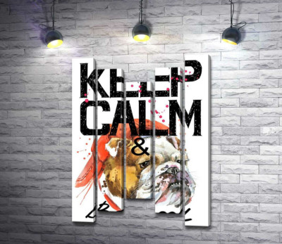 Бульдог в красной кепке среди надписи "keep calm and be cool"