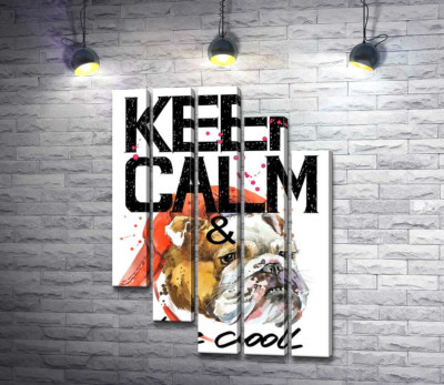 Модульная картина "Бульдог в красной кепке среди надписи "keep calm and be cool""