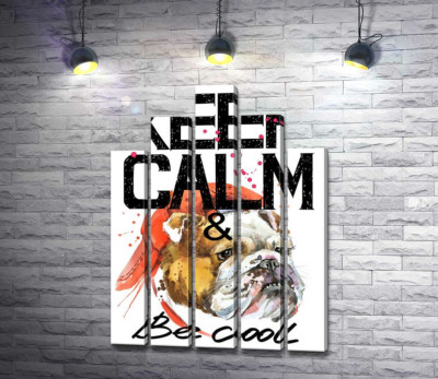 Модульна картина "Бульдог в червоній кепці серед напису "keep calm and be cool""