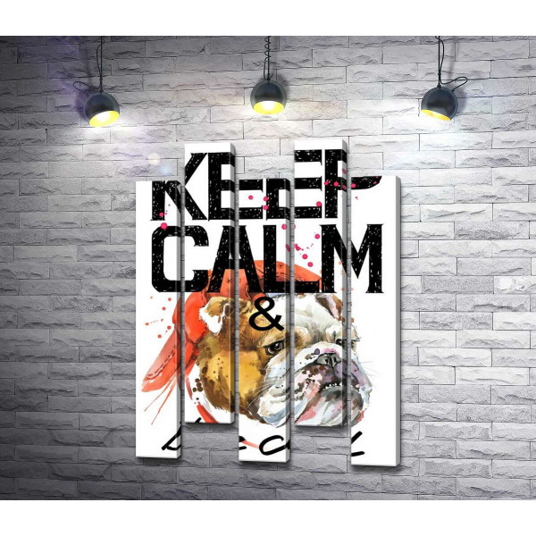 Бульдог в красной кепке среди надписи "keep calm and be cool"