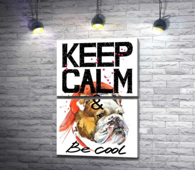 Модульная картина "Бульдог в красной кепке среди надписи "keep calm and be cool""