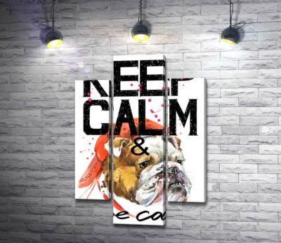 Модульная картина "Бульдог в красной кепке среди надписи "keep calm and be cool""