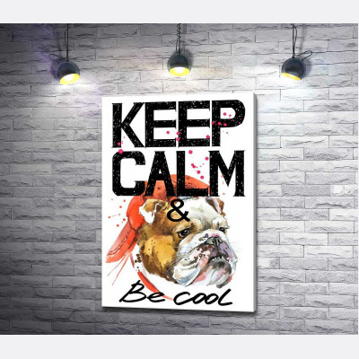 Бульдог в червоній кепці серед напису "keep calm and be cool"