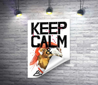 Бульдог в красной кепке среди надписи "keep calm and be cool"