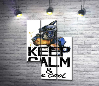 Модульна картина "Доберман в масці Бетмена серед напису "keep calm and be cool""