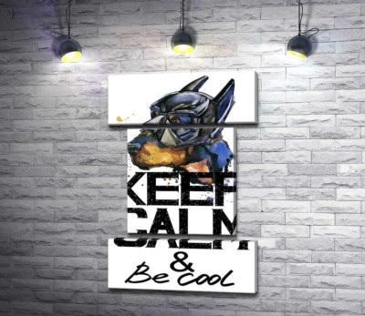 Доберман в масці Бетмена серед напису "keep calm and be cool"
