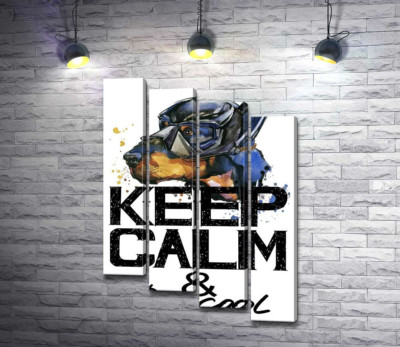 Доберман в масці Бетмена серед напису "keep calm and be cool"