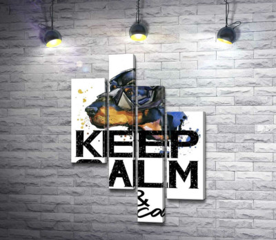 Доберман в масці Бетмена серед напису "keep calm and be cool"