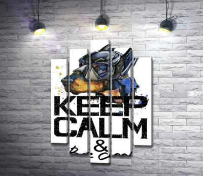 Доберман в масці Бетмена серед напису "keep calm and be cool"