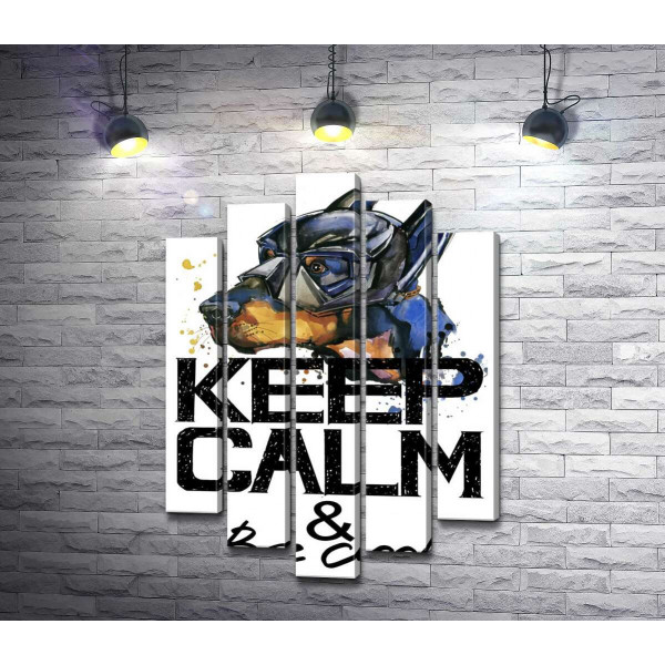 Доберман в масці Бетмена серед напису "keep calm and be cool"