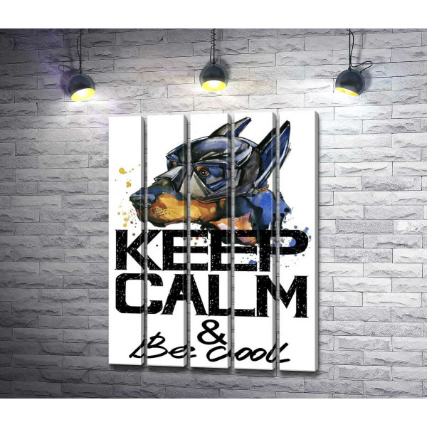 Доберман в маске Бэтмена среди надписи "keep calm and be cool"