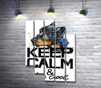 Доберман в масці Бетмена серед напису "keep calm and be cool"