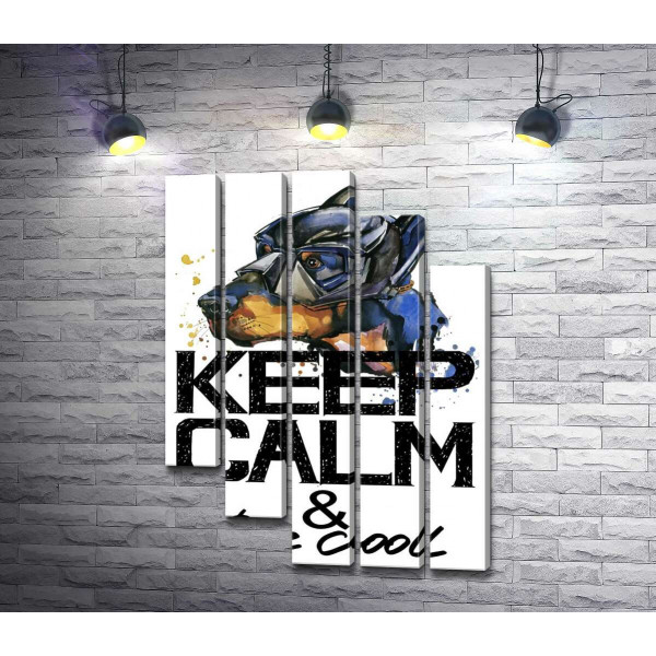 Доберман в масці Бетмена серед напису "keep calm and be cool"