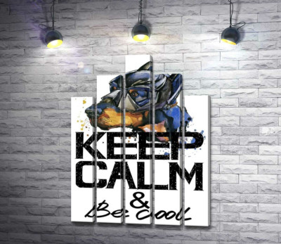 Доберман в маске Бэтмена среди надписи "keep calm and be cool"
