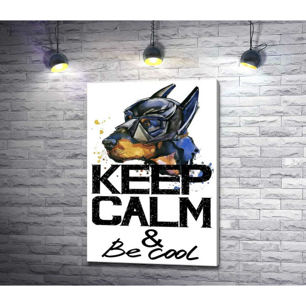 Доберман в маске Бэтмена среди надписи "keep calm and be cool"