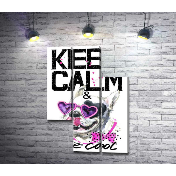 Веселый бульдог в розовых очках и бантике среди надписи "keep calm and be cool"