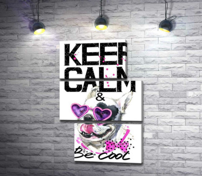 Веселый бульдог в розовых очках и бантике среди надписи "keep calm and be cool"