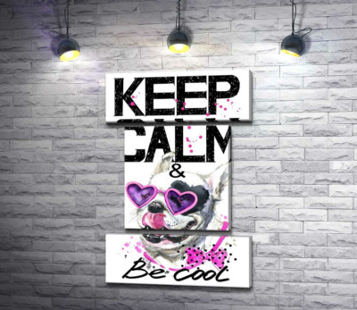 Веселий бульдог в рожевих окулярах та бантику серед напису "keep calm and be cool"