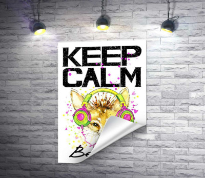 Лисиця фенек в навушниках серед напису "keep calm and be cool"