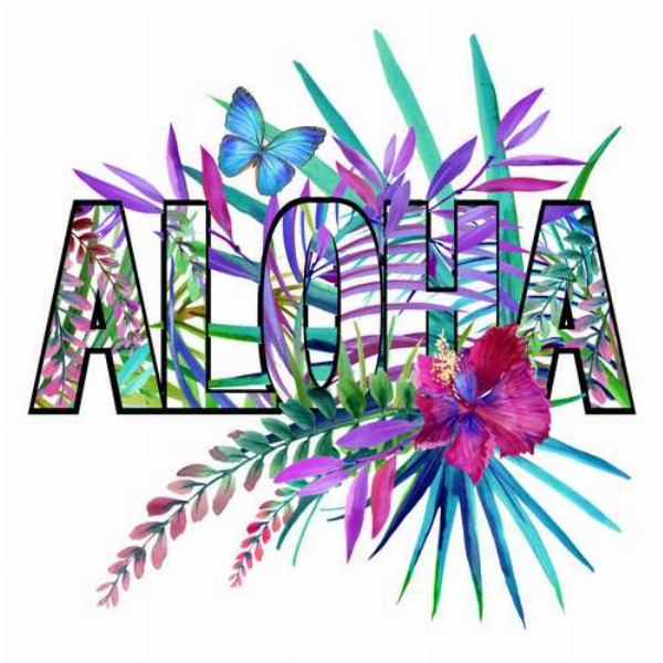 Голубые оттенки тропических листьев в надписи "aloha"
