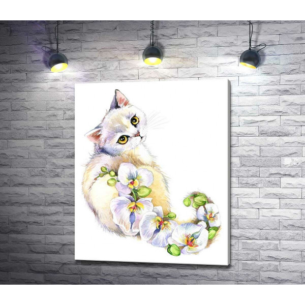 Орхідейний хвіст білої кішки
