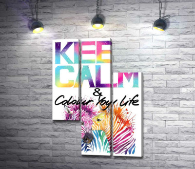 Модульна картина "Яскраві зебри під написом "keep calm and colour your life""