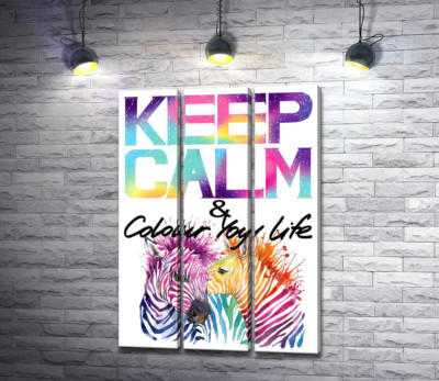 Модульная картина "Яркие зебры под надписью "keep calm and colour your life""