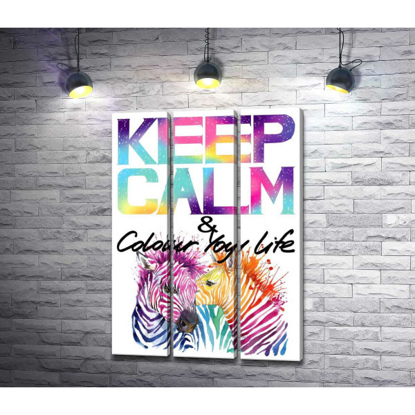 Яркие зебры под надписью "keep calm and colour your life"