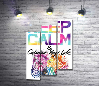 Модульна картина "Яскраві зебри під написом "keep calm and colour your life""