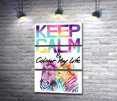 Яскраві зебри під написом "keep calm and colour your life"