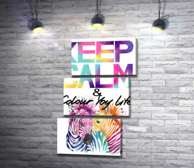 Модульна картина "Яскраві зебри під написом "keep calm and colour your life""
