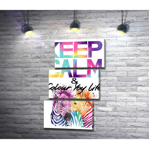 Яскраві зебри під написом "keep calm and colour your life"