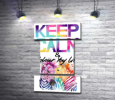 Модульна картина "Яскраві зебри під написом "keep calm and colour your life""