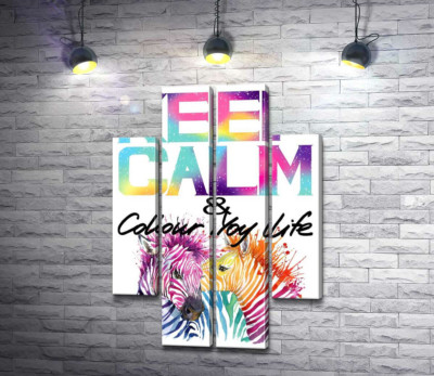 Модульная картина "Яркие зебры под надписью "keep calm and colour your life""