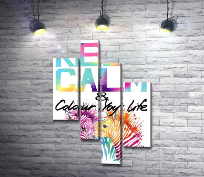 Яркие зебры под надписью "keep calm and colour your life"
