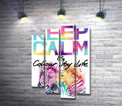 Модульна картина "Яскраві зебри під написом "keep calm and colour your life""