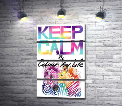Модульна картина "Яскраві зебри під написом "keep calm and colour your life""