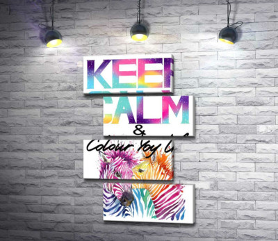 Модульная картина "Яркие зебры под надписью "keep calm and colour your life""