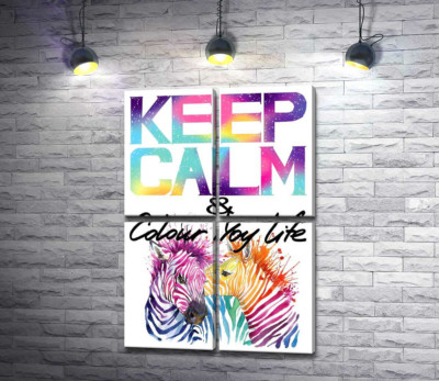 Яркие зебры под надписью "keep calm and colour your life"